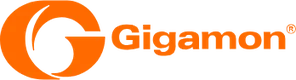 Gigamon